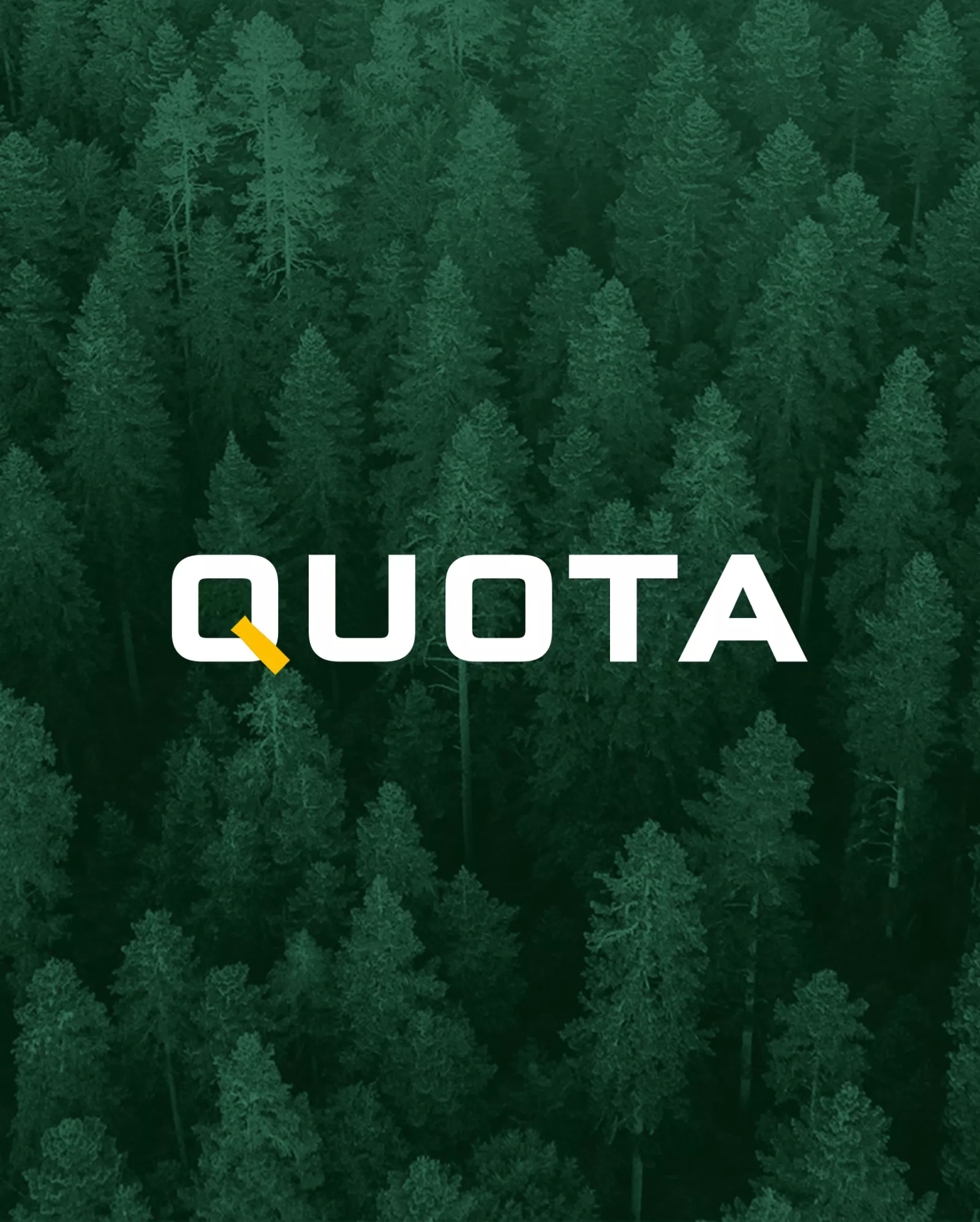 Quota Parent Company